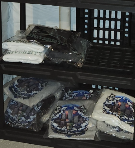 Mystery Shirt (Various Designs) - Cotton Tee